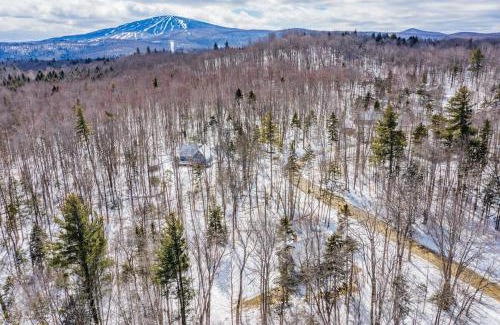Stratton and Bromley Ski Areas Ski Chalet | Cozy Chalet 12 Min to Stratton & 7 Min to Bromley