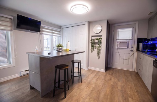 La Cite-Limoilou Condo | Cozy Condo in St-Roch Downtown Quebec