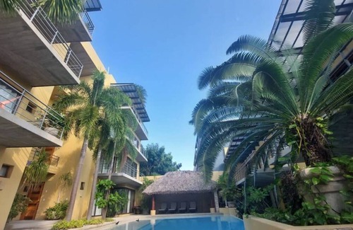 El Hujal Condo | Cozy condo with pool and palm shelter- 5 min from the beach!
