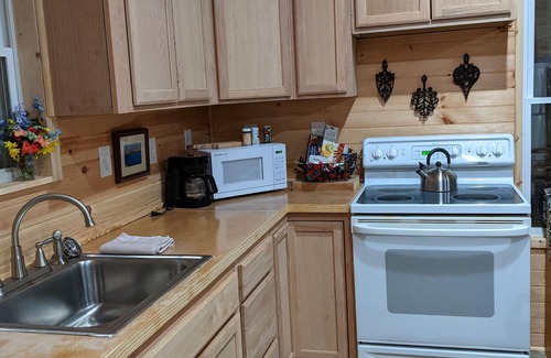 Dunlap Cabin | Cozy cottage @ private lake. Able to accommodate 3 travelers for summer season