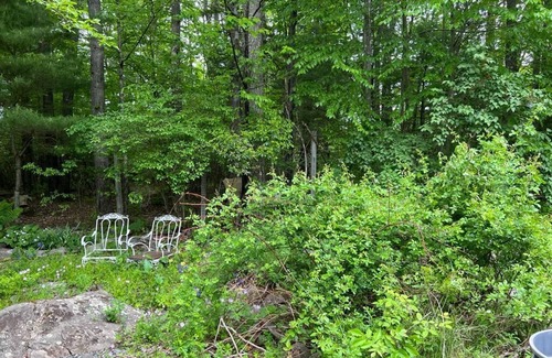 Ellenville Cottage | Cozy Cottage with a Pond