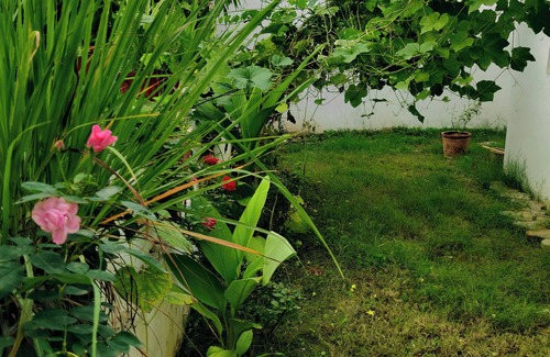 Udaipur Villa | Cozy Family Haven: Spacious & Peaceful