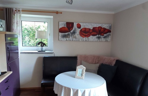 Oberwiesenthal Apartment | Cozy holiday apartment just 5 minutes from the ski slopes