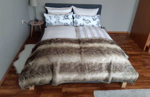 Oberwiesenthal Apartment | Cozy holiday apartment just 5 minutes from the ski slopes
