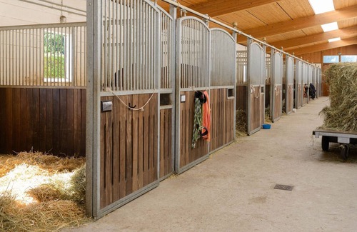 Eschede House | Cozy holiday home on a horse farm in the Lüneburg Heath
