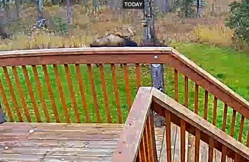 Kalifornsky House | Cozy home, with in minutes of Kenai and Kasilof rivers.