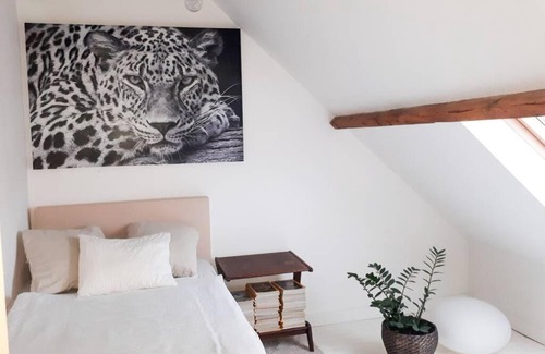Luithagen House | Cozy house border of Antwerp