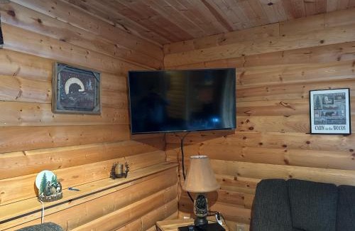 Wisconsin Dells House | Cozy House in Quiet place.