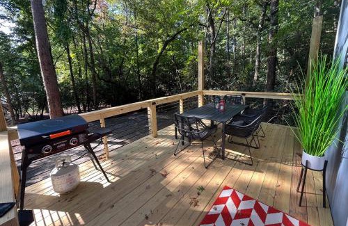 Mills River House | Cozy Lakeview Cottage