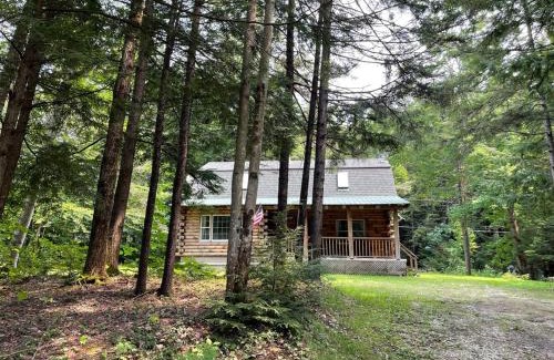 West Halifax House | Cozy Log Cabin - Dog Friendly