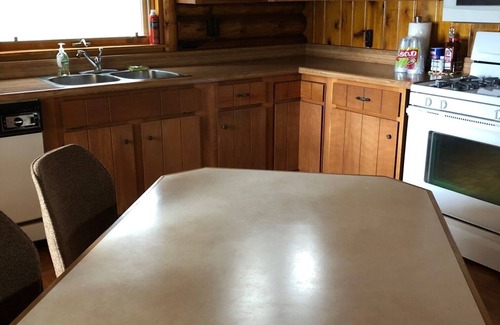 Gaylord Cabin | Cozy Log Cabin on Beautiful Lake in Northern Michigan