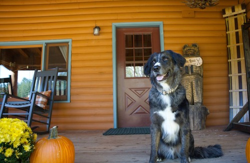 Cavendish Cabin | Cozy Log Cabin Short Drive to Okemo & Killington