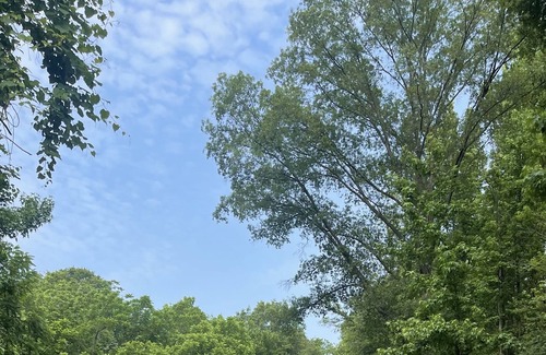 Glen Burnie House | Cozy, luxury rooms In quiet beautiful neighborhood with lake and pool access