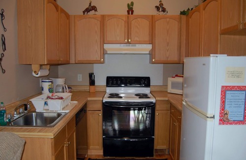 Stanley Cabin | Cozy mountain cabin on a horse ranch with GORGEOUS views and easy river access!