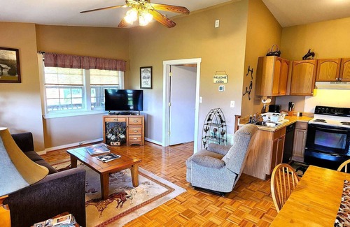 Stanley Cabin | Cozy mountain cabin on a horse ranch with GORGEOUS views and easy river access!