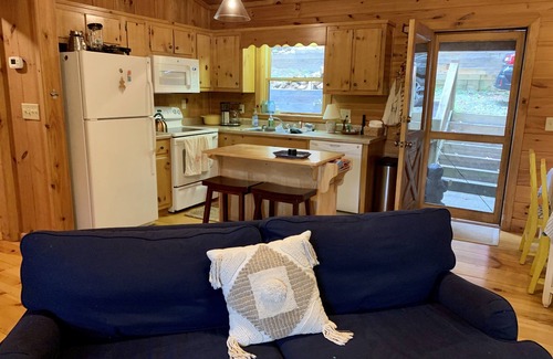 Blue Ridge Cabin | Cozy Mountain Cabin in Aska Wilderness with Saltwater Hot Tub in Blue Ridge, GA