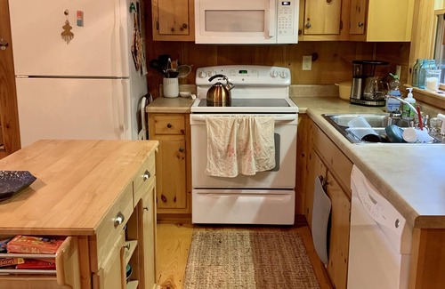 Blue Ridge Cabin | Cozy Mountain Cabin in Aska Wilderness with Saltwater Hot Tub in Blue Ridge, GA