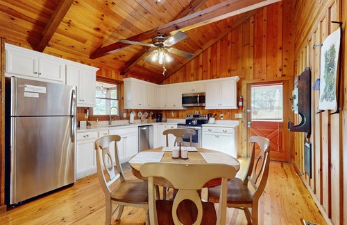 Mineral Bluff House | Cozy mountain home with deck, firepit, grill, fireplace, W/D & central AC