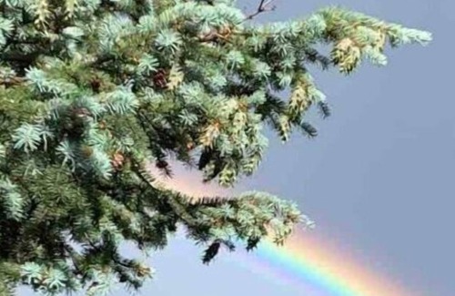 Green Mountain Falls Cabin | Cozy Mtn Cottage - Minutes from Pikes Peak Highway