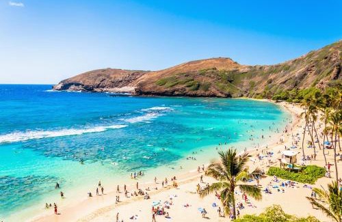 Waikiki Apartment | Cozy Ocean View Studio Just Steps to Waikiki Beach