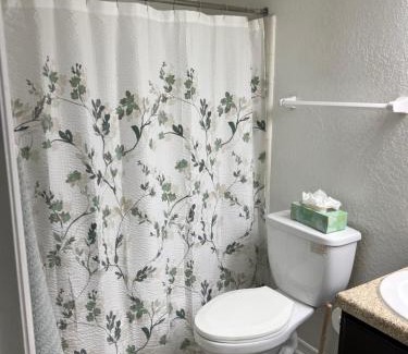 Port Orange Apartment | Cozy one bedroom