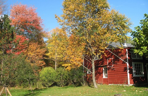Saugerties House | Cozy, quiet, stream-side 1850s farmhouse with meadow, garden and mountain views