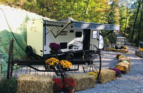 Newport House | Cozy relaxing Camper in the Woods, Pet friendly,hiking