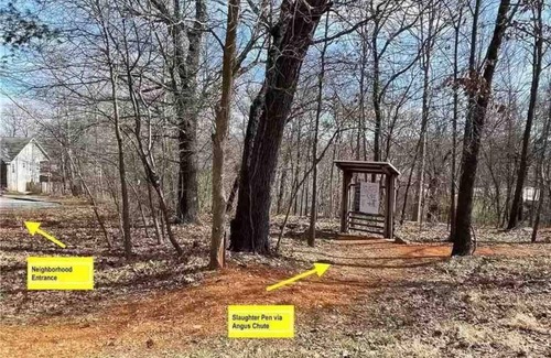 Bentonville House | Cozy retreat close to great hiking trails and downtown Bentonville.