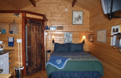 Ucluelet Cabin | Cozy, romantic waterfront cabin. Sleeps 2, pet-friendly, walk to all amenities.