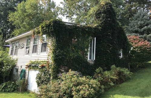 Malletts Bay Cottage | Cozy seasonal lakefront cottage with gorgeous views!