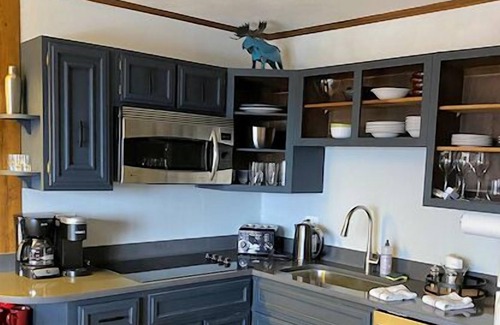 Bromley Mountain Condo | Cozy, Ski-In/Ski-out 1-Bedroom condo at Bromley's Chester House