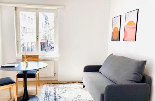 Niederdorf Apartment | Cozy Studio Apartment Unit 12 in Center of Zurich