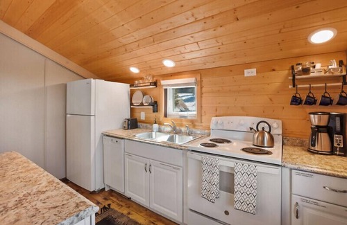 Florissant Cabin | Cozy Studio |Deck Views + Fireplace + Near 11 Mi