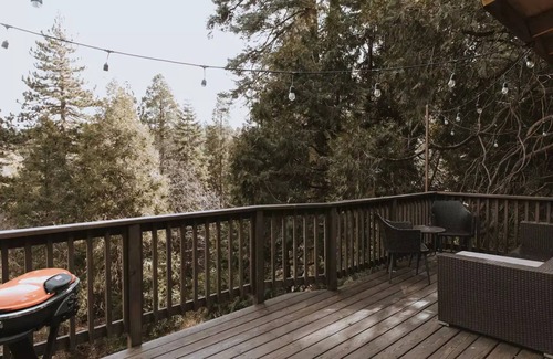Cedarpines Park House | Cozy & Stylish Modern Mountain Retreat. Dog Friendly! Close to Trails & Lake.
