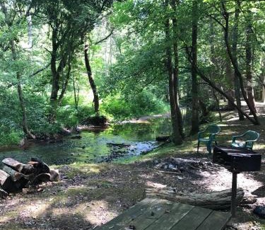 Tellico Plains House | Cozy Tellico Plains Cabin with Large Mountain Creek!