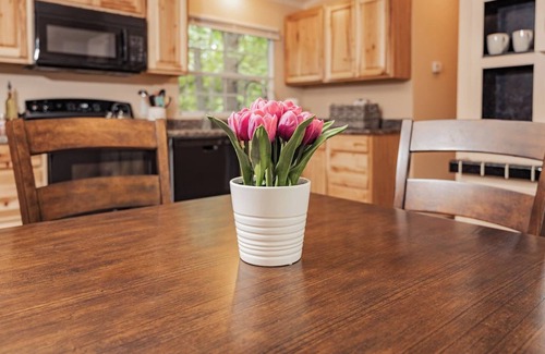 Travelers Rest House | Cozy Terrace~28 Day Midterm~All Parks Pass~FASTWI-FI~Private Backyard~Deck~Grill