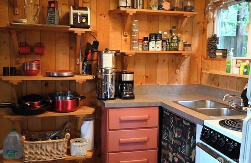 Gold Bar Cabin | Cozy Tiny Cabin with RIVER VIEWS! nSleeps 3, hot tub, wood stove, fire pit!