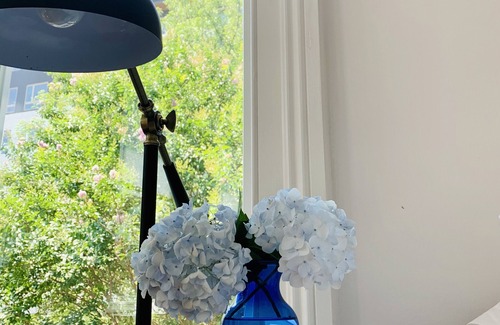 Jackson Ward House | Cozy Urban Oasis in Historic Home FREE Private Parking Included