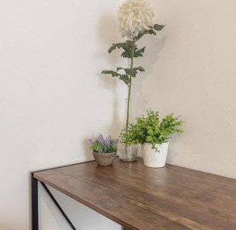 San Jose Insurgentes Apartment | Cozy Urban Rooftop Lounge Free Parking & Wifi
