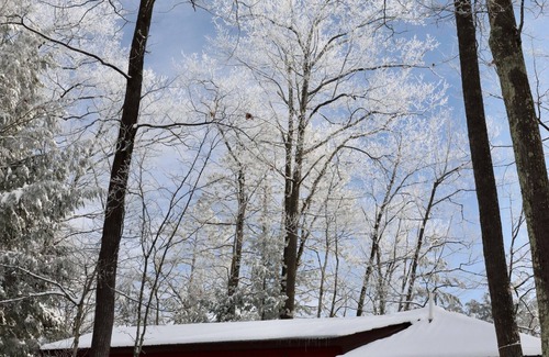 Lac du Flambeau Cabin | Cozy Wisconsin Northwoods cabin with private dock. Pet Friendly!