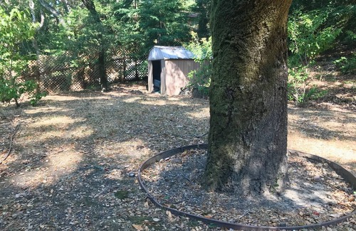 Woodside House | Cozy Woodside Cottage