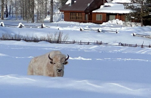Bondurant House | Cozy Wyoming Retreat – Perfect for Families & Relaxation