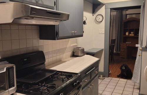 University Heights House | Craftsman cottage, retreat in the city. Only 2 miles to Balboa park and the zoo!