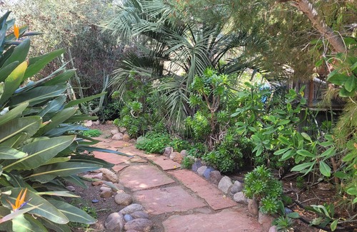 University Heights House | Craftsman cottage, retreat in the city. Only 2 miles to Balboa park and the zoo!
