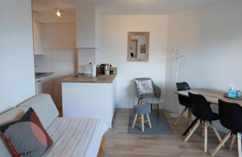 Randogne Apartment | Crans-Montana Les Rocca C