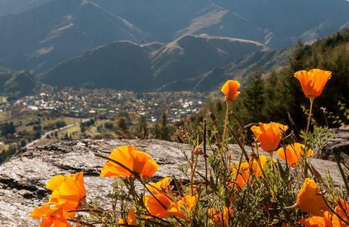 Arrowtown House | Creagh Cottage and Homestead