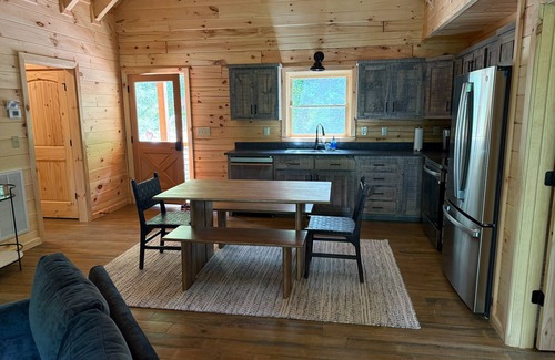 Ellijay Cabin | Creek & Cozy-Charming 2BR Creekside Cabin in Ellijay- AC, Fire Pit, Nature