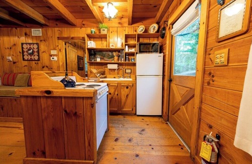 Benton Apartment | Creek Crest Cabin | Ocoee Riverside Cabin