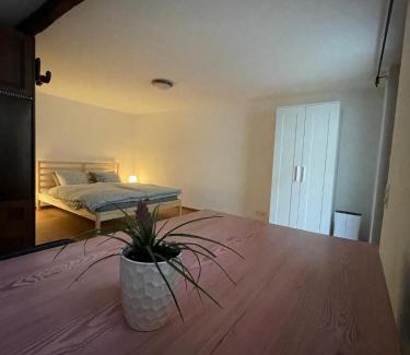 Losone Apartment | Creek’s cave studio - The paradise for climbers