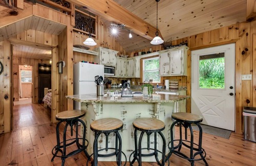 Blue Ridge Cabin | Creekside Cabin, Waterfront/Hot Tub/Pet-Friendly